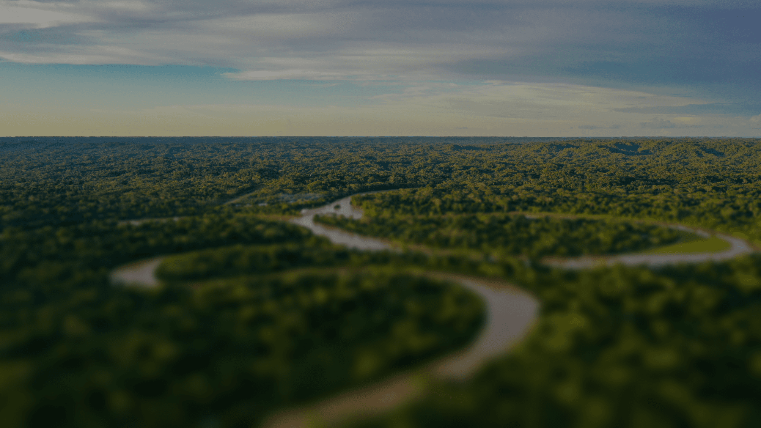 FORESTS_KEY