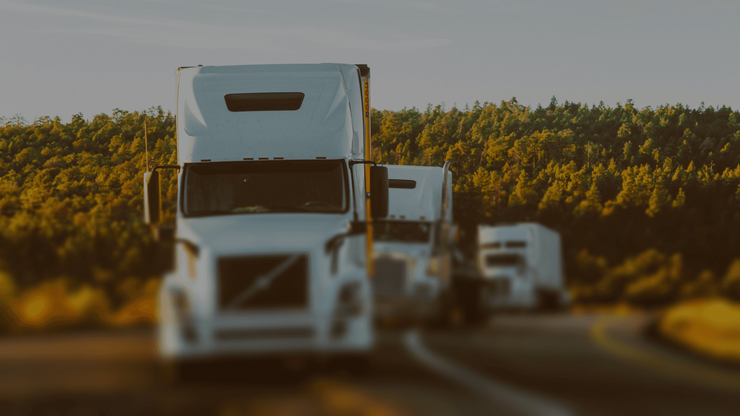 LOGISTICS_KEY